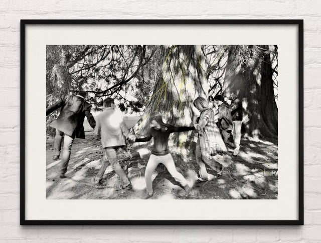 CELEBRATING TREES